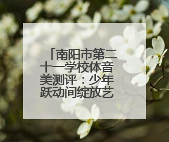 南阳市第二十一学校体音美测评：少年跃动间绽放艺韵风华