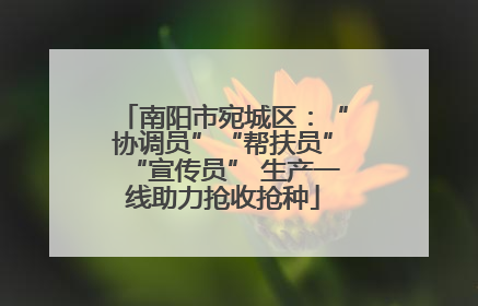 南阳市宛城区：“协调员”“帮扶员”“宣传员” 生产一线助力抢收抢种