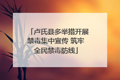 卢氏县多举措开展禁毒集中宣传 筑牢全民禁毒防线