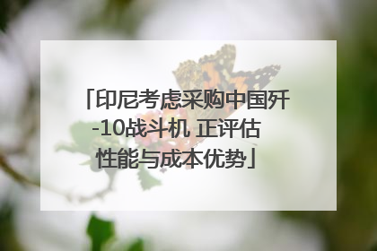 印尼考虑采购中国歼-10战斗机 正评估性能与成本优势