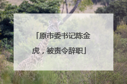 原市委书记陈金虎，被责令辞职