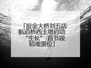 厦金大桥刘五店航道桥西主塔启动“生长” 首节段精准落位