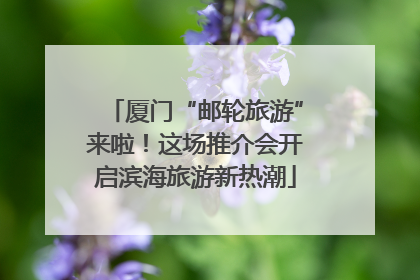 厦门“邮轮旅游”来啦！这场推介会开启滨海旅游新热潮