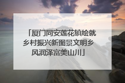 厦门同安莲花镇绘就乡村振兴新图景文明乡风润泽富美山川