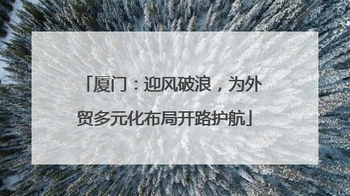 厦门：迎风破浪，为外贸多元化布局开路护航