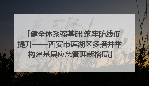 健全体系强基础 筑牢防线促提升——西安市莲湖区多措并举构建基层应急管理新格局