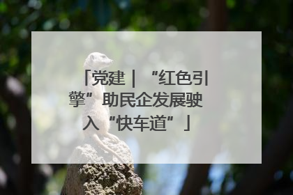 党建｜“红色引擎”助民企发展驶入“快车道”