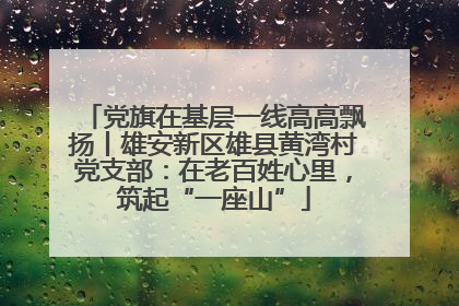 党旗在基层一线高高飘扬丨雄安新区雄县黄湾村党支部：在老百姓心里，筑起“一座山”