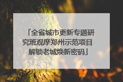 全省城市更新专题研究班观摩郑州示范项目 解锁老城焕新密码