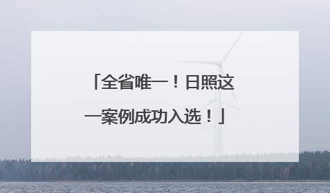 全省唯一！日照这一案例成功入选！