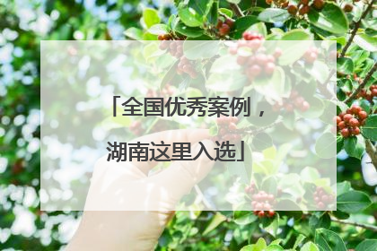 全国优秀案例，湖南这里入选
