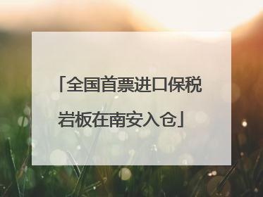 全国首票进口保税岩板在南安入仓