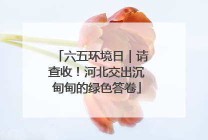 六五环境日｜请查收！河北交出沉甸甸的绿色答卷