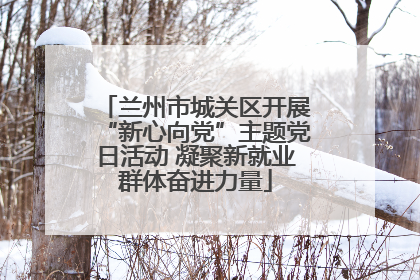 兰州市城关区开展“新心向党”主题党日活动 凝聚新就业群体奋进力量
