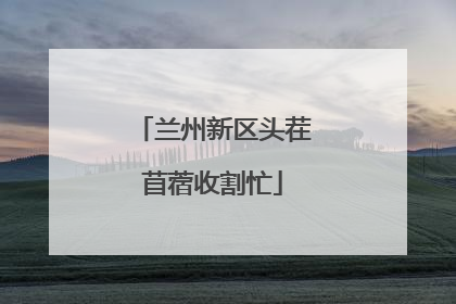 兰州新区头茬苜蓿收割忙