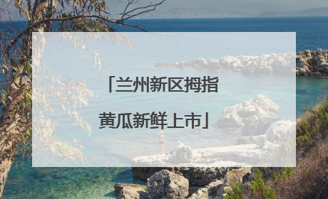兰州新区拇指黄瓜新鲜上市