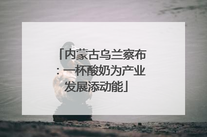 内蒙古乌兰察布：一杯酸奶为产业发展添动能