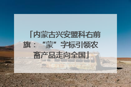 内蒙古兴安盟科右前旗：“蒙”字标引领农畜产品走向全国