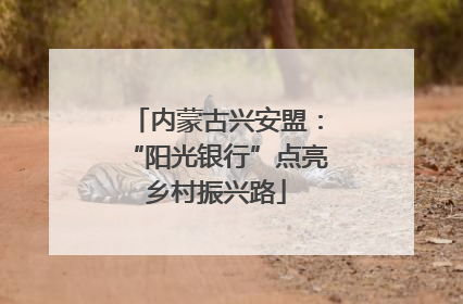 内蒙古兴安盟：“阳光银行”点亮乡村振兴路