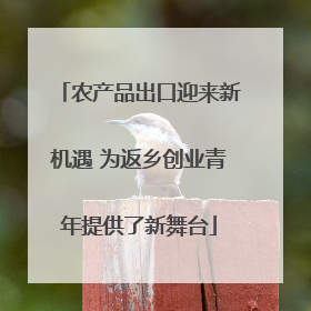 农产品出口迎来新机遇 为返乡创业青年提供了新舞台