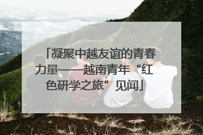 凝聚中越友谊的青春力量——越南青年“红色研学之旅”见闻