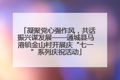 凝聚党心强作风，共话振兴谋发展——通城县马港镇金山村开展庆“七一”系列庆祝活动