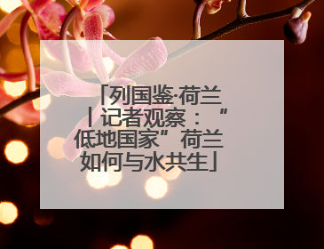 列国鉴·荷兰丨记者观察：“低地国家”荷兰如何与水共生
