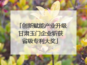 创新赋能产业升级 甘肃玉门企业斩获省级专利大奖