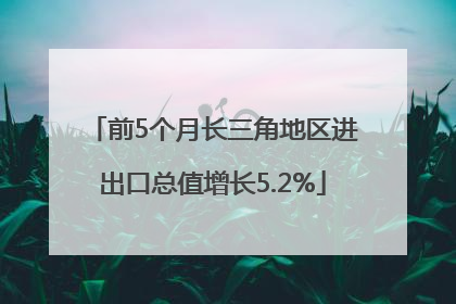 前5个月长三角地区进出口总值增长5.2%