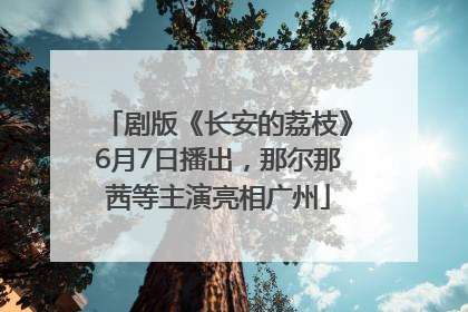剧版《长安的荔枝》6月7日播出，那尔那茜等主演亮相广州