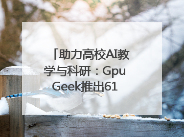助力高校AI教学与科研：GpuGeek推出618算力支持活动