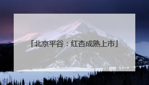 北京平谷：红杏成熟上市