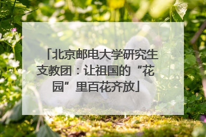 北京邮电大学研究生支教团：让祖国的“花园”里百花齐放