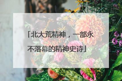 北大荒精神，一部永不落幕的精神史诗