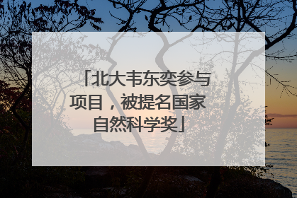 北大韦东奕参与项目，被提名国家自然科学奖