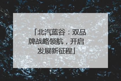 北汽蓝谷：双品牌战略领航，开启发展新征程