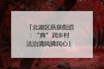 北湖区燕泉街道：“典”润乡村 法治清风拂民心