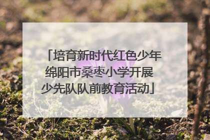 培育新时代红色少年 绵阳市桑枣小学开展少先队队前教育活动