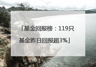 基金回报榜：119只基金昨日回报超3%