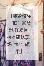 城乡校际“联”通梦想 江夏区校本研修现场“结”硕果