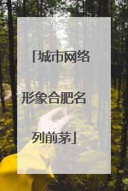城市网络形象合肥名列前茅