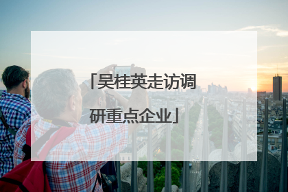 吴桂英走访调研重点企业