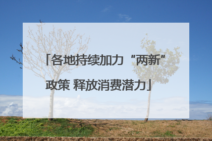 各地持续加力“两新”政策 释放消费潜力