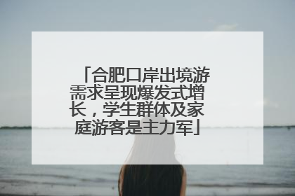 合肥口岸出境游需求呈现爆发式增长，学生群体及家庭游客是主力军
