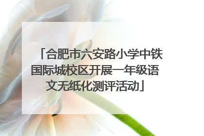 合肥市六安路小学中铁国际城校区开展一年级语文无纸化测评活动