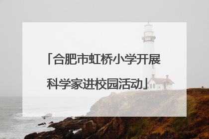 合肥市虹桥小学开展科学家进校园活动