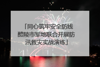 同心筑牢安全防线 醴陵市军地联合开展防汛救灾实战演练