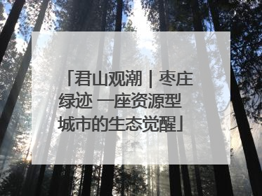 君山观潮｜枣庄绿迹 一座资源型城市的生态觉醒