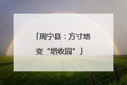 周宁县：方寸地变“增收园”