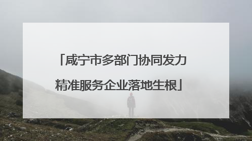 咸宁市多部门协同发力 精准服务企业落地生根